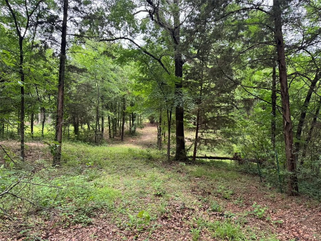 Country Club - Land
