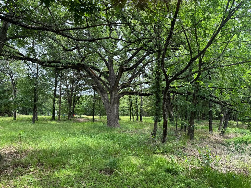 Country Club - Land