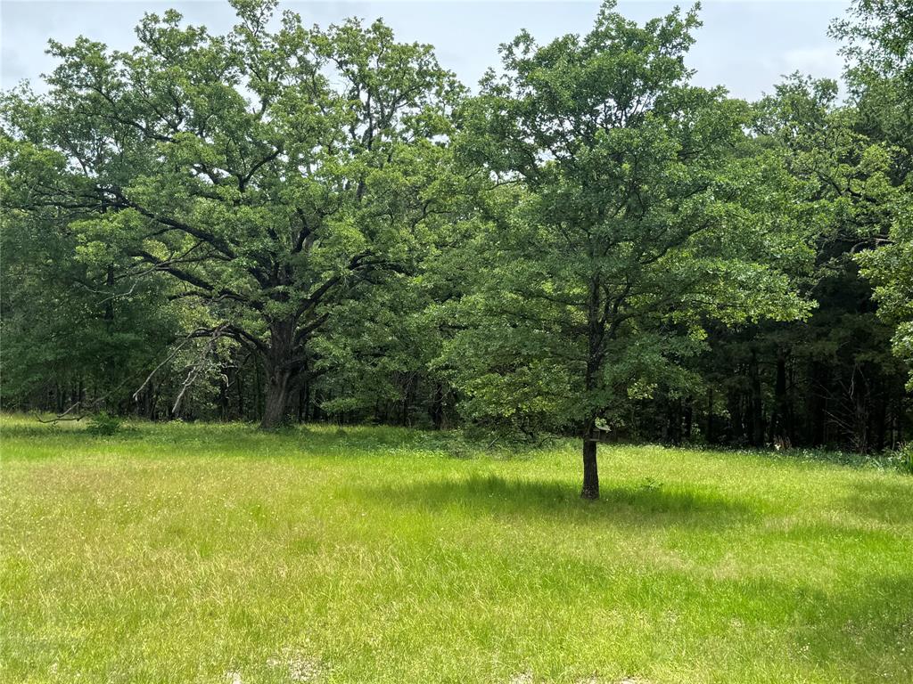 Country Club - Land