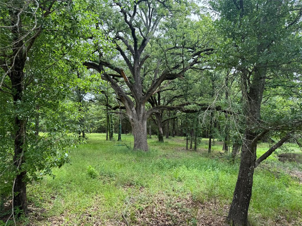 Country Club - Land