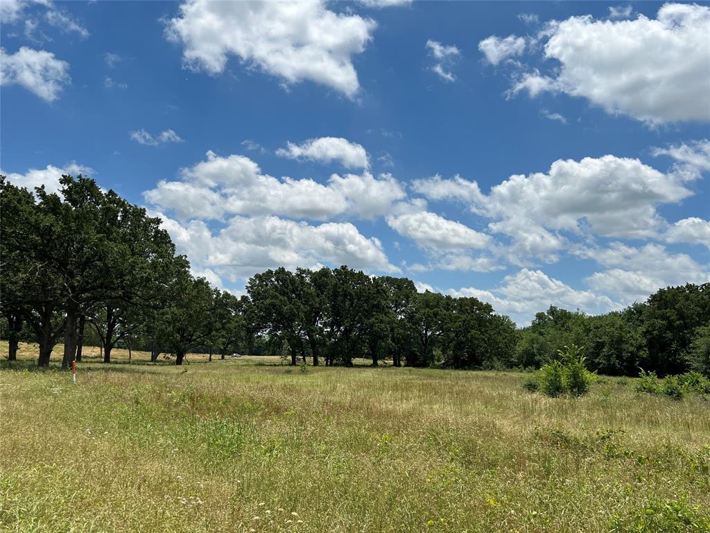 Sulphur Springs - Commercial Sale