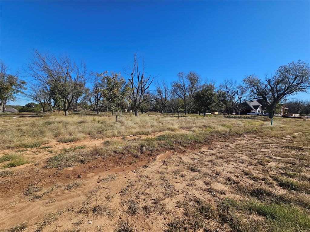 Pecan Plantation - Land