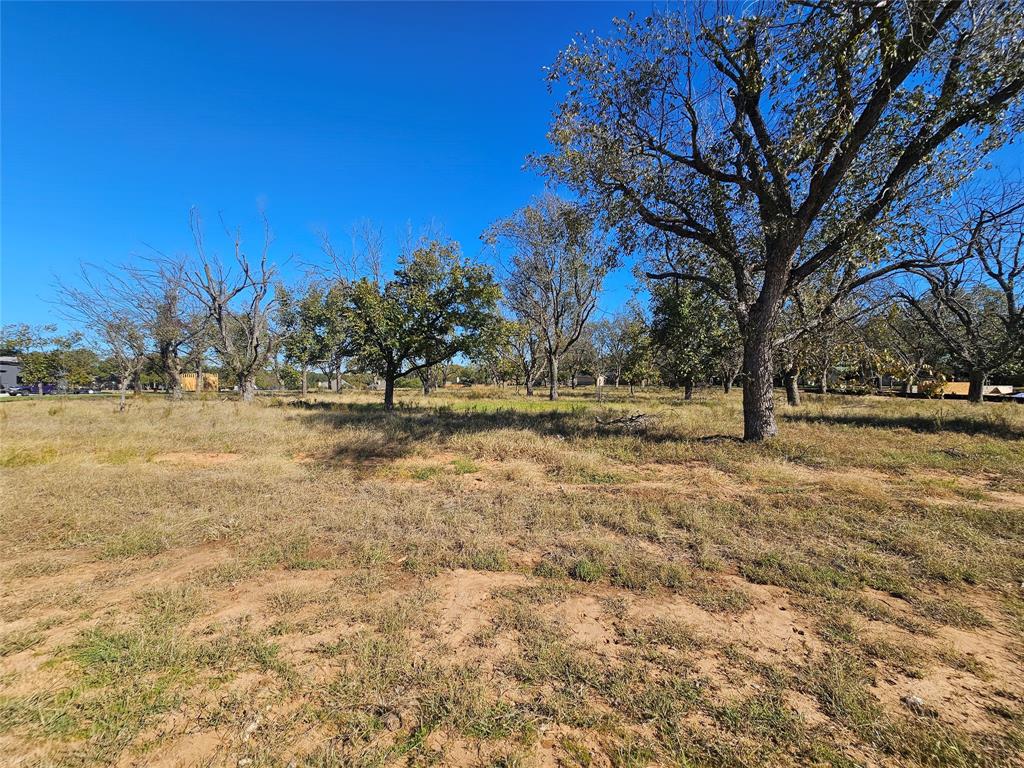 Pecan Plantation - Land