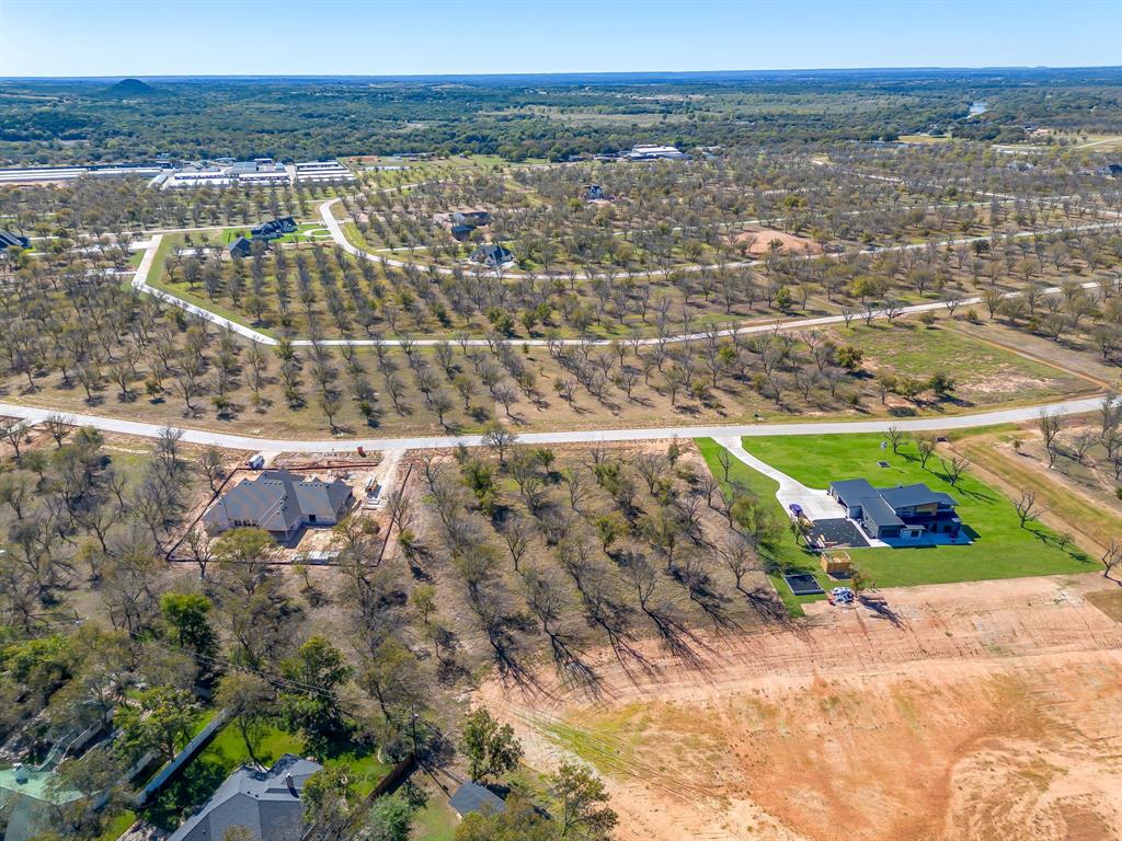 Pecan Plantation - Land