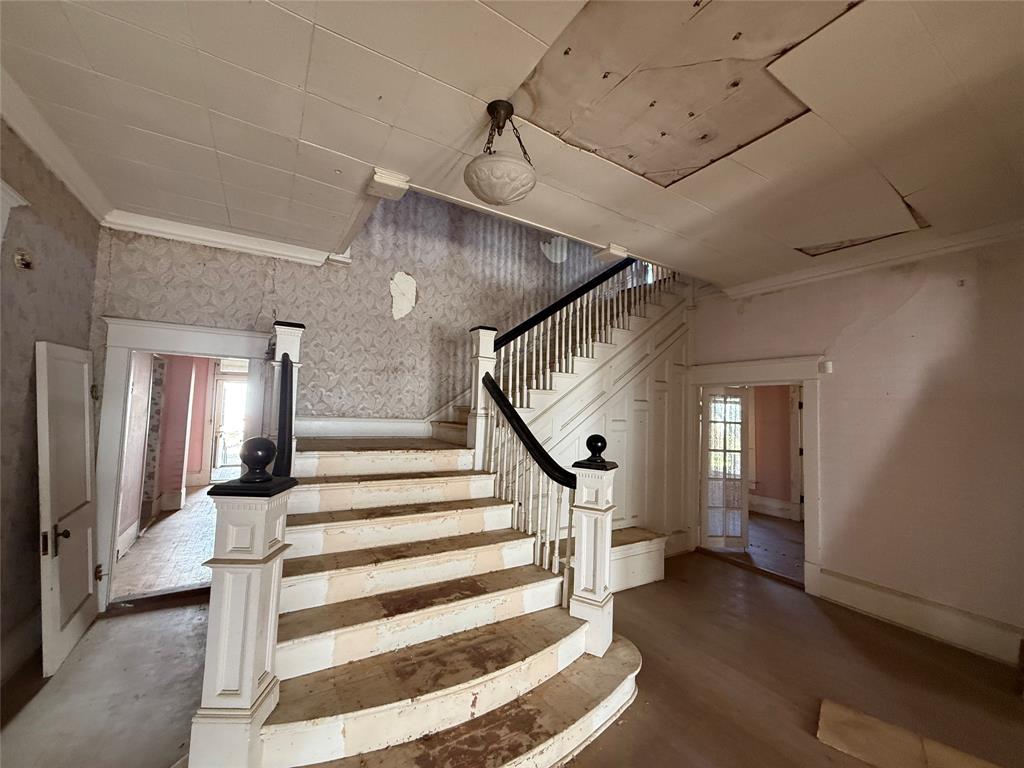 Lynch - Residential