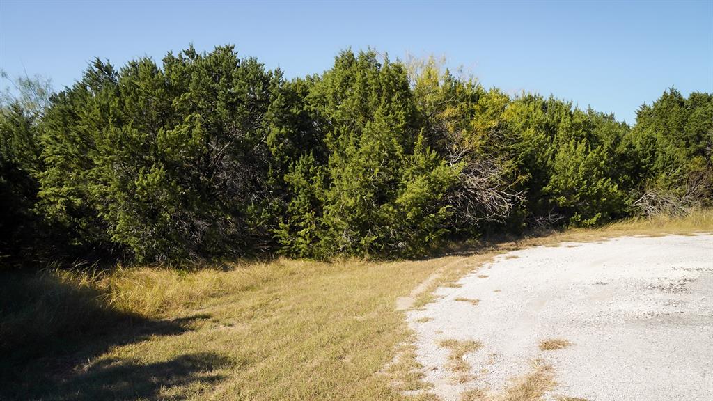 White Bluff #25 - Land