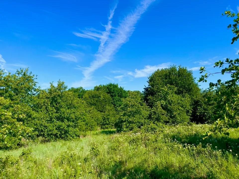 Lot 53 in Sarra Ranch, Parker County, Texas, offers a picturesque setting in the rolling hills on a hard corner in the north end of the community. This ready-to-build 2-acre lot features a large open space, creating an ideal environment for constructing your dream home with a healthy amount of trees scattered throughout. The Sarra Ranch community spans 246 acres, consisting of 2 to 4 acre tracts. With a rich history of ranch life, this location is perfect for those seeking tranquil country living, surrounded by majestic oak trees. Residents can enjoy peaceful walks through the community or explore the area on horseback. Sarra Ranch is a deed-restricted community without an HOA, providing a unique blend of community guidelines and individual freedom for homeowners. Choosing Sarra Ranch means investing not just in a home, but in a lifestyle rich in country charm and lasting friendships. Lot 72 offers a more open space, allowing for flexibility and creativity in designing your home. The lot runs in a North-South direction, offering a favorable orientation for natural light and scenic views.