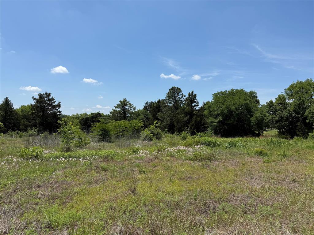 Cannon Estates - Land