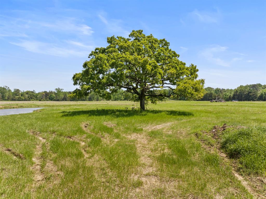 Explore the possibilities on this expansive 10-acre property of unrestricted land, ready for you to build your dream home! With a pond dotting the landscape, you can enjoy both recreational activities and stunning natural beauty. Whether you see yourself living a peaceful country lifestyle or creating an outdoor playground, this property offers the flexibility to bring your vision to life. Seize the chance to establish your perfect home or investment on this generous and well-equipped piece of land!