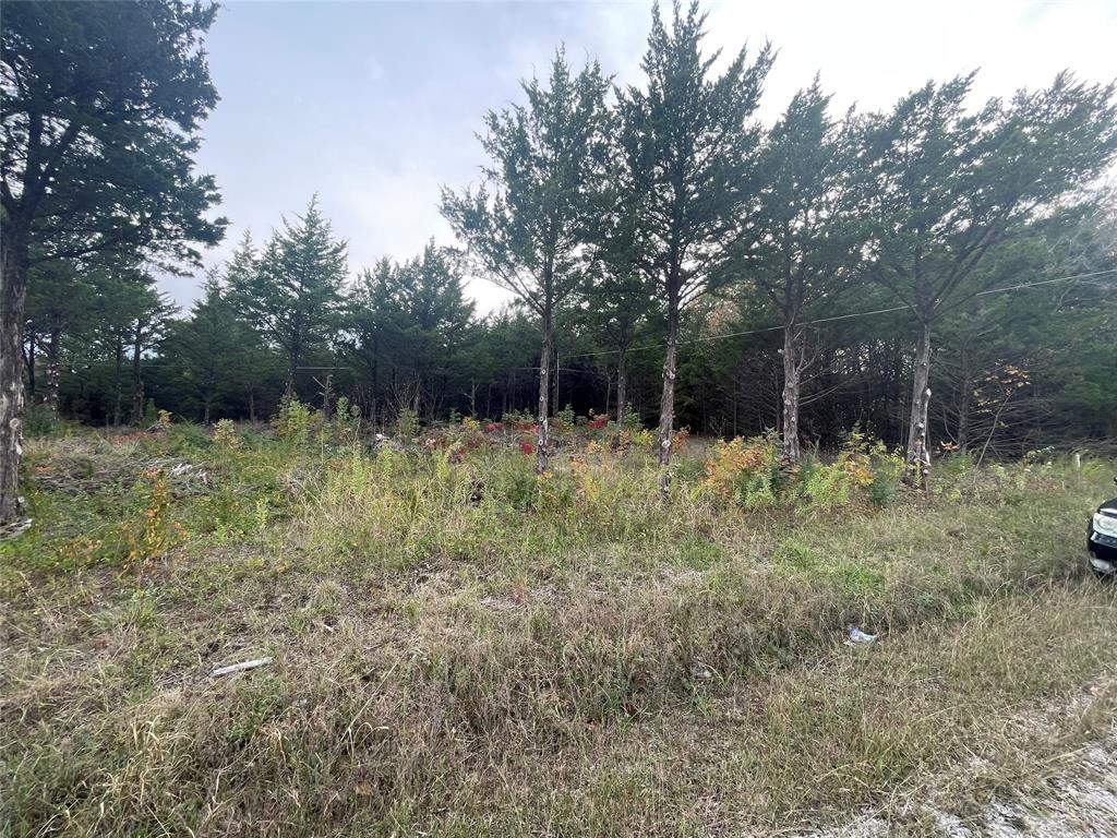 3 lots with cedar on JACK HARRIS LN. 
LOT 461 LOT 462 LOT 463
TIME TO BUILD YOUR DREAM HOME BY THE LAKE 
This neighborhood features a community pool and boat ramp access to LAKE TEXOMA