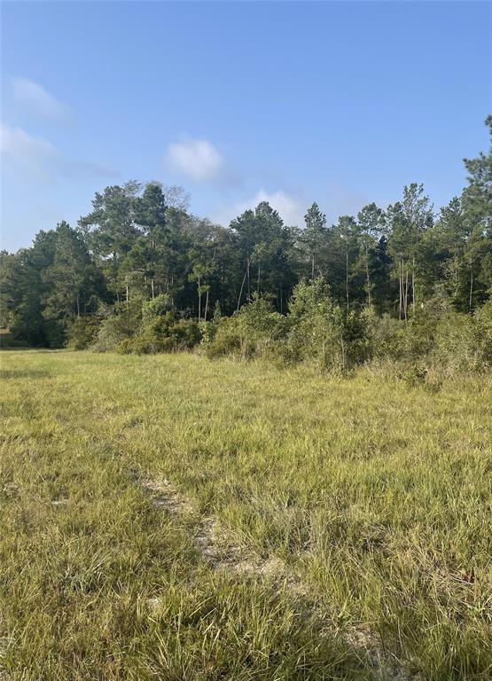 An excellent combination of wide-open spaces and hardwood bottoms. It is accessible by county and
logging roads, is 15 miles from the town of Colmesneil, TX and 25 miles from Woodville, TX. This
property is all the privacy and seclusion you will ever need with plenty of East Texas wildlife. This is the
perfect tract for hunting, recreation, or an escape from a noisy overcrowded city. It would also be a
great investment property. Call to schedule a showing today.

- Great County Road Access
- Recreation
- Hunting
- Gentle slopes with hardwood bottoms
- Some large Mature timber left
- Wildlife
- Privacy
- Seclusion
- Approximately 25 miles from the town of Woodville, TX
- Approximately 16 miles to the town of Colmesneil, TX
*Data and maps presented are for reference purposes only and cannot be guaranteed.