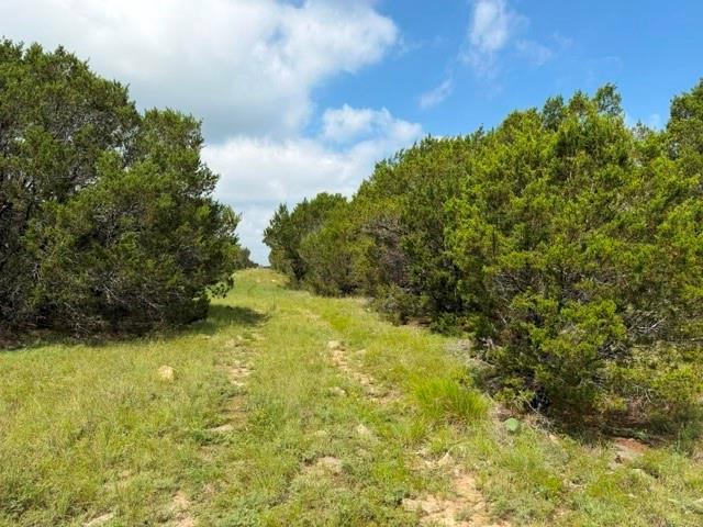 Opportunity awaits on this secluded 40-acre property located approximately 15 miles south of Hico. The property features a 3-bedroom, 2-bath manufactured home surrounded by abundant wildlife, native Texas landscape, and wide-open space.The home is currently being utilized for storage and will require updates and repairs, making it an excellent opportunity for buyers looking to renovate, create a hunting retreat, weekend getaway, or establish a country homestead. Existing utilities include a water well, electricity, conventional septic system, and fiber optic internet, all currently operational.The acreage benefits from a Wildlife Management Tax Exemption and offers exceptional recreational opportunities. A fenced livestock area with a loafing shed provides additional functionality for goats, small livestock, or hobby farming.With 40 acres of privacy, existing infrastructure, and endless possibilities, this property offers the chance to create your own piece of Texas countryside.