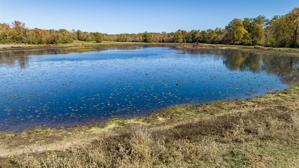 In 1876 William Needham moved his family from Tennessee to East Texas settling in Rusk County near Laneville. He established the 1500 acre Running N Ranch. Over 5 generations of ownership multiple parcels were sold leaving 602 +- acres. Large land tracts in East Texas for sale are rare, but the Running N Ranch, a 602-acre legacy property, is for sale. The ranch is a hunting, recreational and cattle grazing property. The land includes Buckner Creek, Irwin Branch, 2 ponds, 5 Artesian wells and a 10-acre duck pond designed and built under the supervision of Ducks Unlimited. The timber areas along with the water assets, offer fantastic wildlife habitat. Hunting opportunities are endless including Whitetail Deer, hogs, ducks, squirrels and other varmints. The owner has managed the Whitetail Deer hunting for many years. The pastures and ponds offer good cattle grazing. Rusk County annual rainfall of 48 inches creating lush green pastures from March to November.