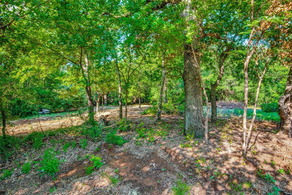 Emerald Sound At Lake Lewisvil - Land