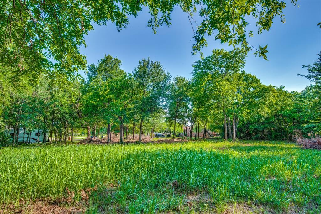 Emerald Sound At Lake Lewisvil - Land