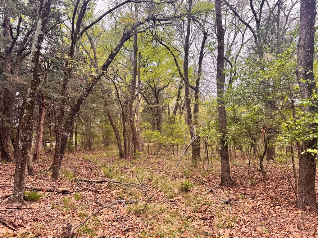 Fannin County Unplatted - Land
