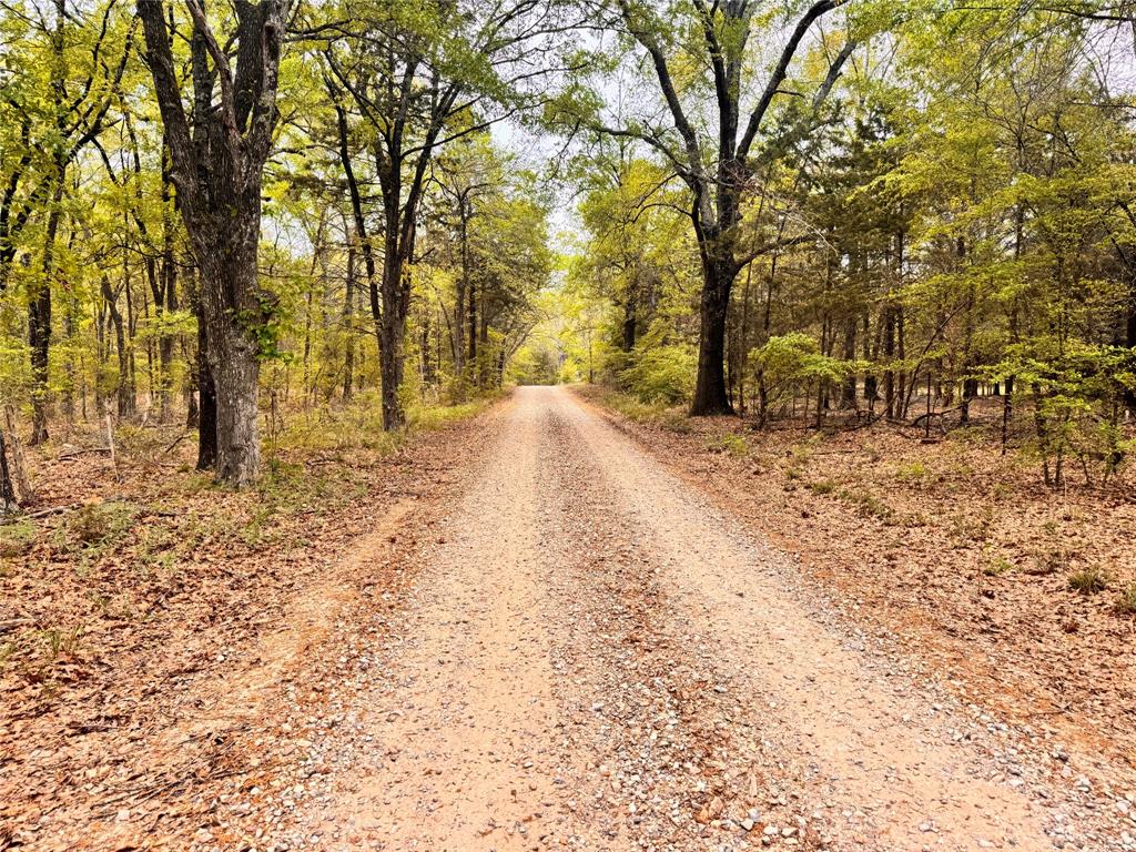 Tucked away in a quiet, secluded setting just outside the city limits, this 4.527-acre retreat at 656 County Road 2680 in Bonham, Texas is the perfect escape for anyone craving peace, privacy, and the beauty of the outdoors. Located on an all-weather road and just minutes from town, this property offers the best of both worlds—country serenity with convenient access. Covered with a beautiful mix of mature oak and cedar trees, this heavily wooded tract creates a private, park-like atmosphere that feels miles away from it all. With open clearings ideal for campfires, weekend getaways, or simply unwinding under the stars, this property is full of possibilities for outdoor enjoyment and relaxation. Backing up to North Texas Municipal Water District property for Bois d’Arc Lake, this tract is a rare opportunity for those who love nature, wildlife, and excellent hunting. Whether you’re looking for a recreational getaway, a quiet camping spot, or a place to enjoy the outdoors in total privacy, this one checks all the boxes. An old cabin is located on the property but is not accessible and the property is being sold As Is. Water is available at the roadway, adding even more potential for future use. If you’ve been searching for a small acreage hideaway near Lake Bonham with seclusion, trees, wildlife, and room to relax, this unique property is definitely worth a look!