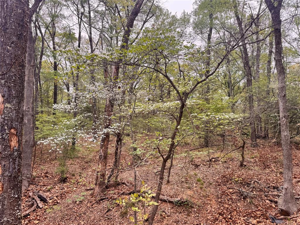 Fannin County Unplatted - Land
