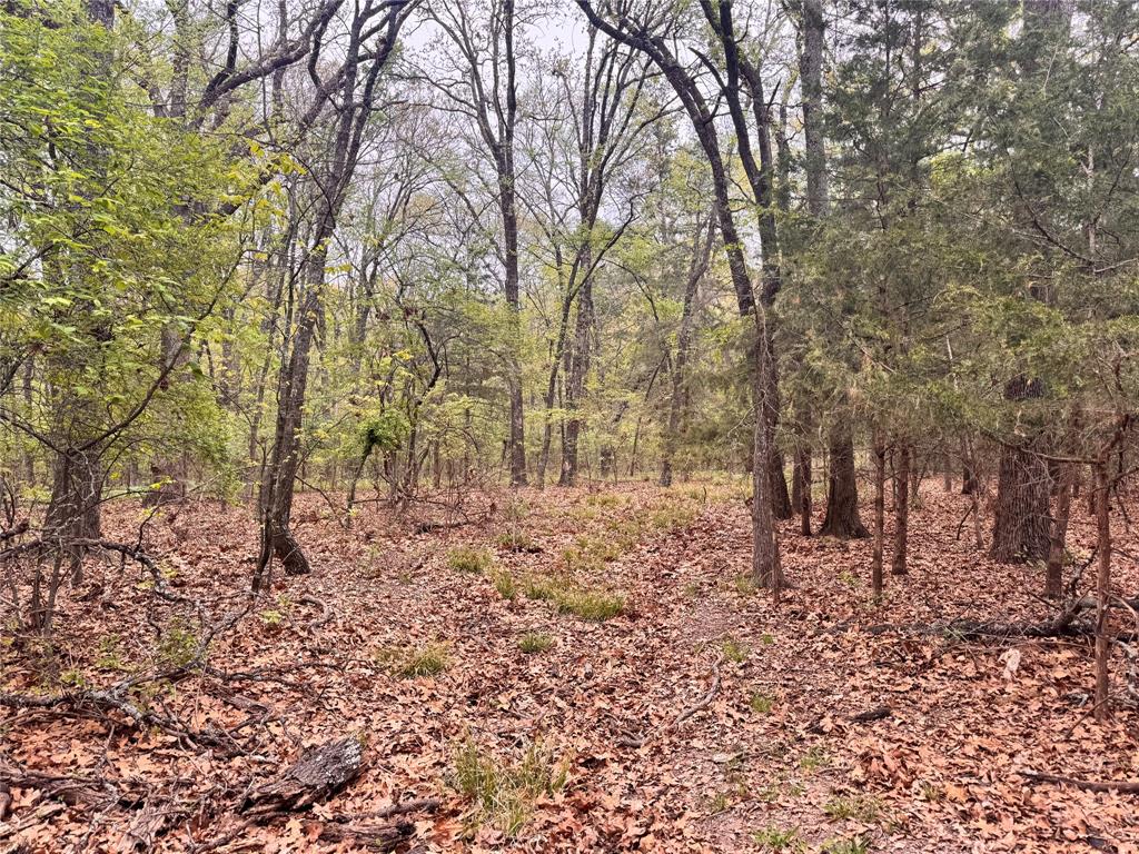 Fannin County Unplatted - Land