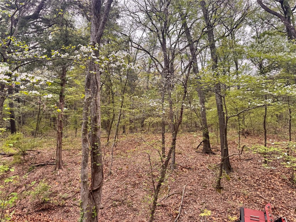Fannin County Unplatted - Land