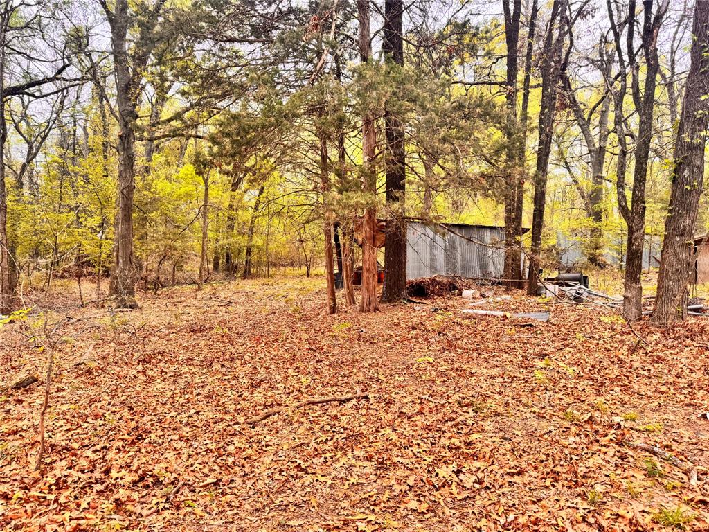 Fannin County Unplatted - Land