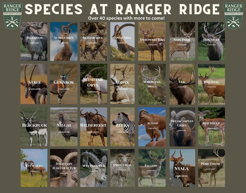 Ranger Ridge Phase II - Land