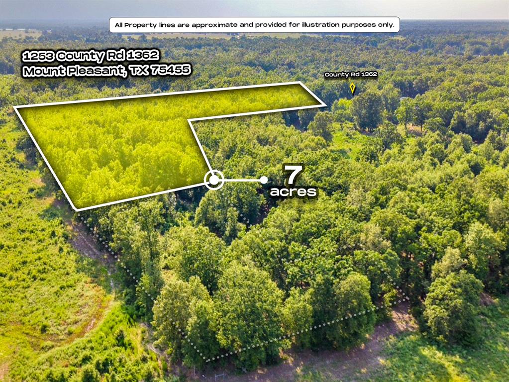 Discover the possibilities with this combined 12-acre offering in Titus County, TX, featuring two adjoining parcels being sold together (APNs: 1379 & 610023211). Located outside the city limits, this property offers the flexibility many buyers are looking for, with RVs, mobile homes, manufactured homes, and tiny homes allowed. Electricity is available at the road, and water is available nearby, making it an excellent opportunity for a future homesite, weekend retreat, or investment property. The level acreage provides plenty of room to build, spread out, and enjoy peaceful country living while remaining just a short drive from the conveniences, shopping, dining, and schools in Mount Pleasant. Don't miss your chance to own versatile acreage in growing Titus County. Buyer to verify utility availability, development requirements, permitted uses, and any applicable restrictions.