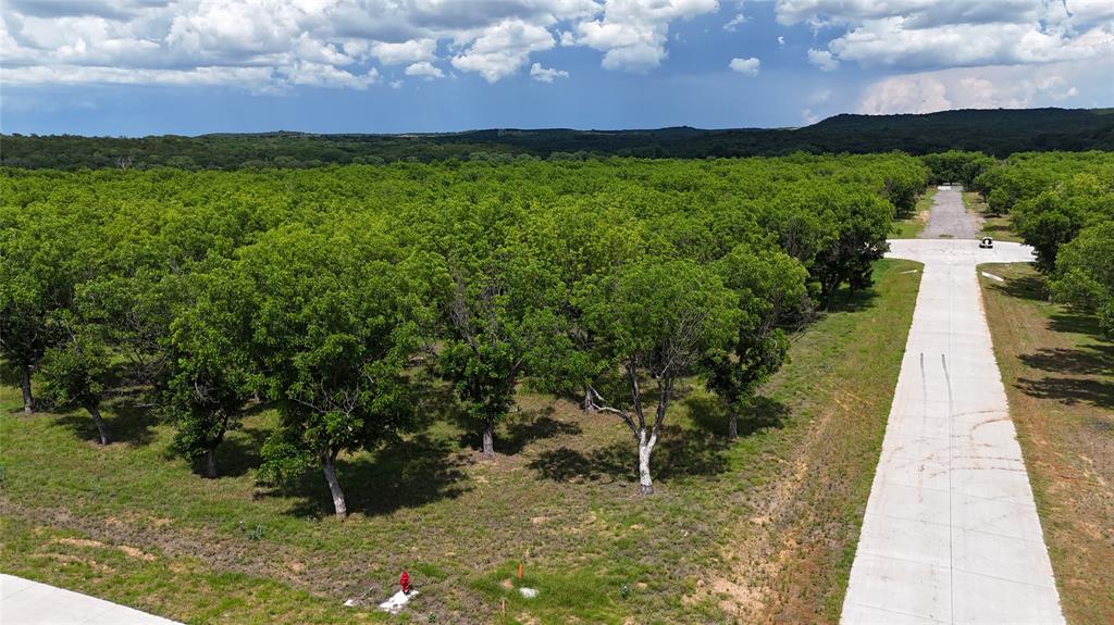 Pecan Plantation - Land