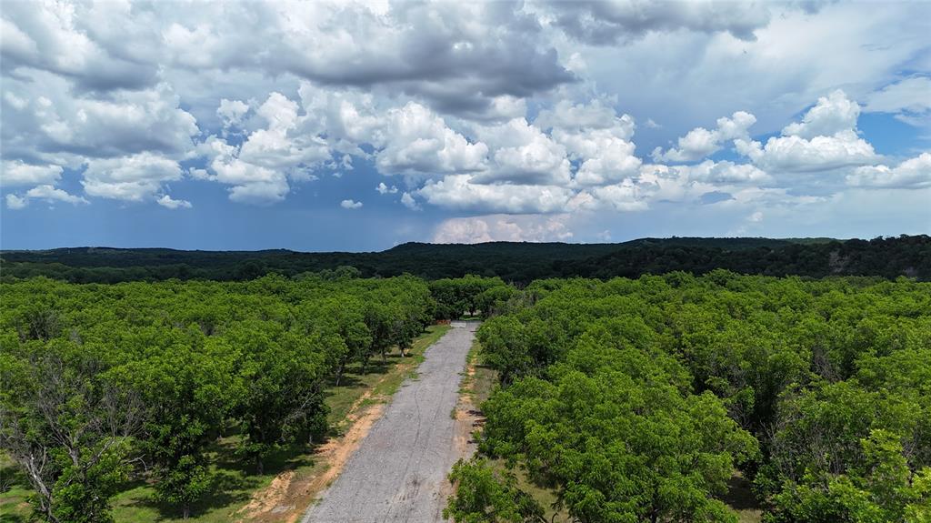 Pecan Plantation - Land