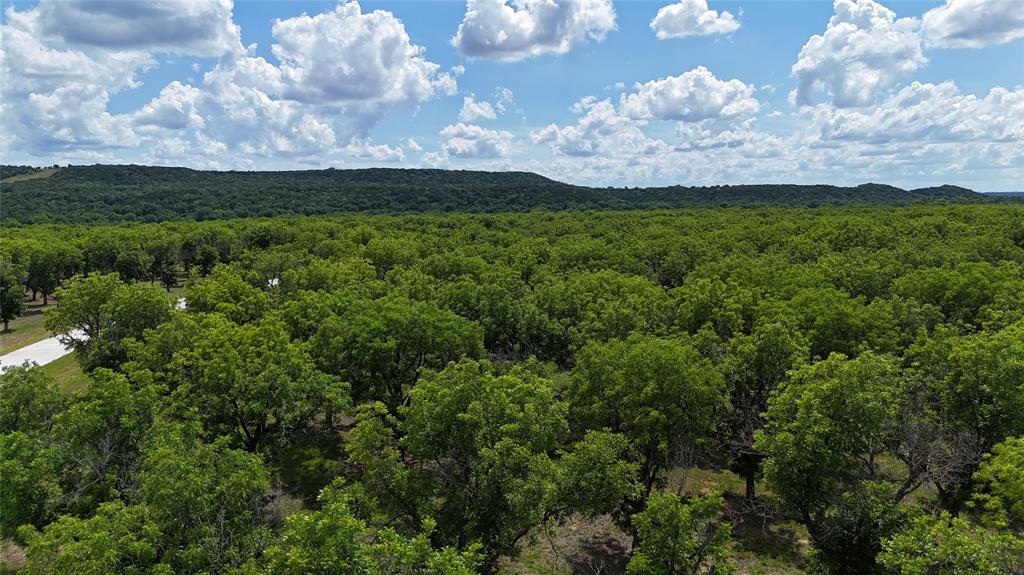 Pecan Plantation - Land