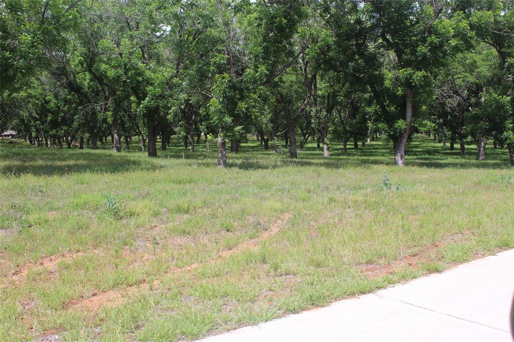 Pecan Plantation - Land
