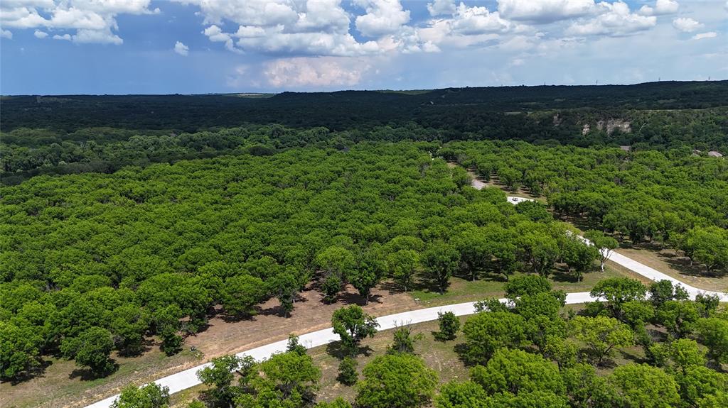 Pecan Plantation - Land