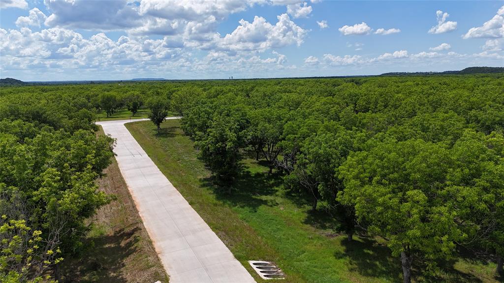 Pecan Plantation - Land