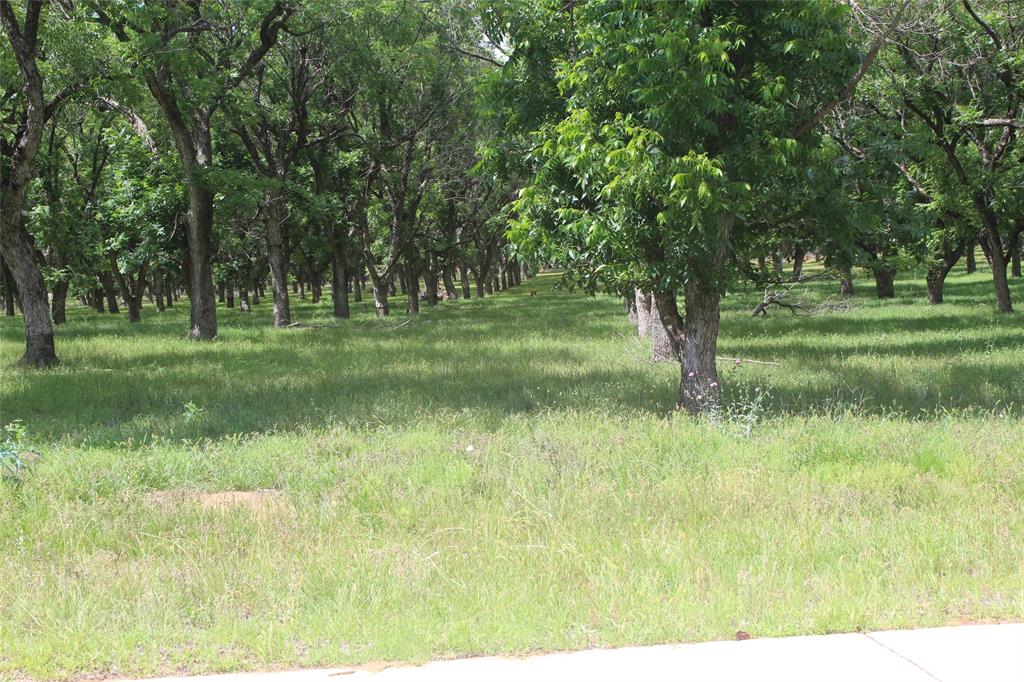 Pecan Plantation - Land