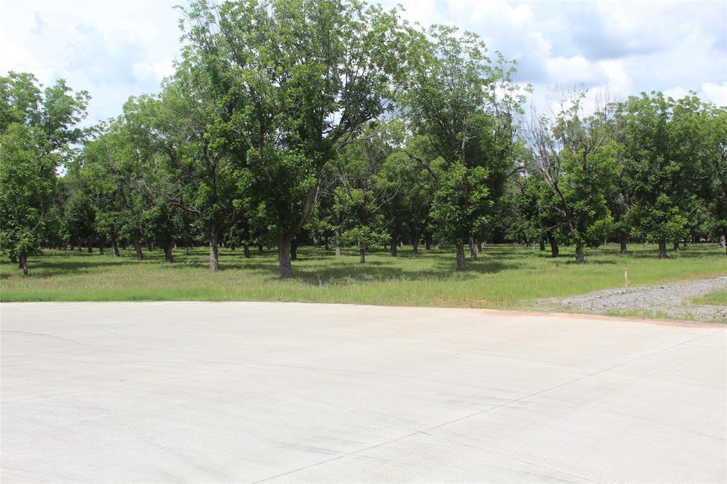 Pecan Plantation - Land