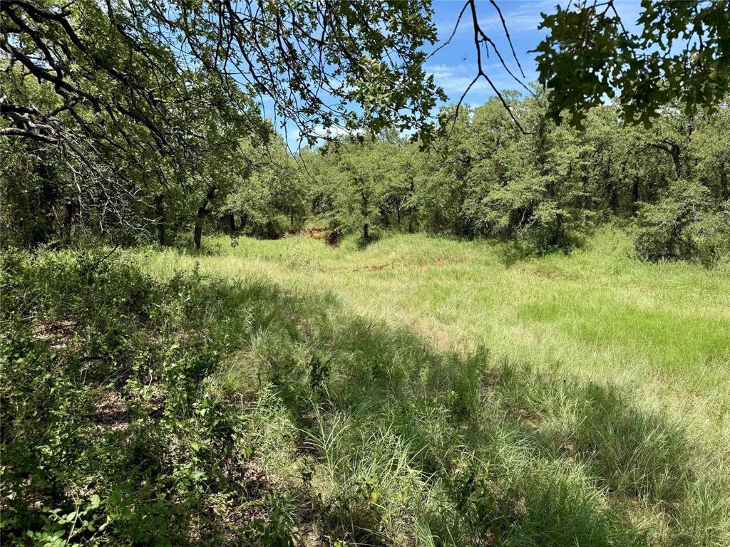 Nocona Hills - Land