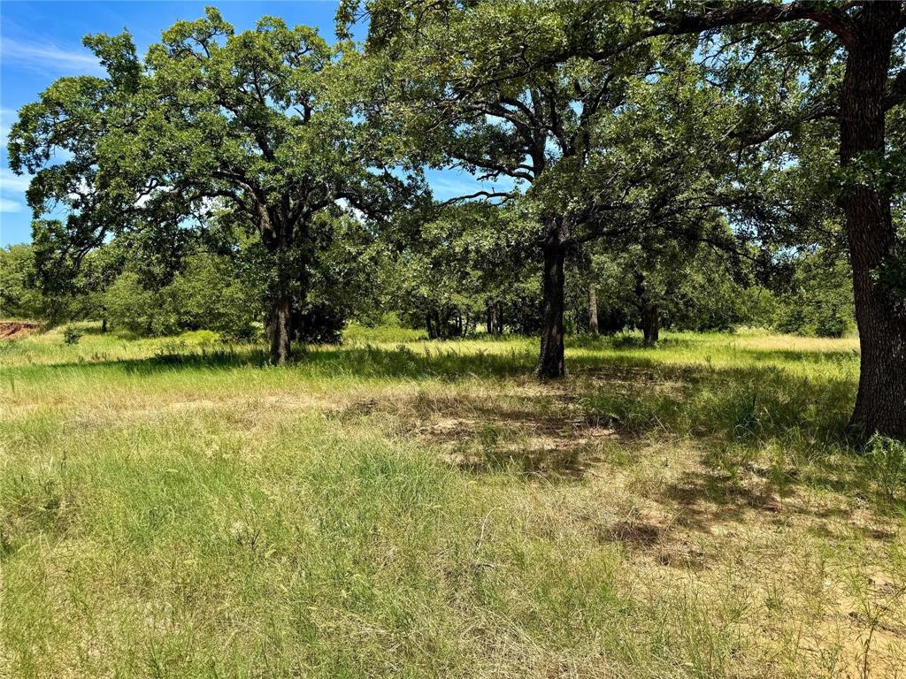 Nocona Hills - Land