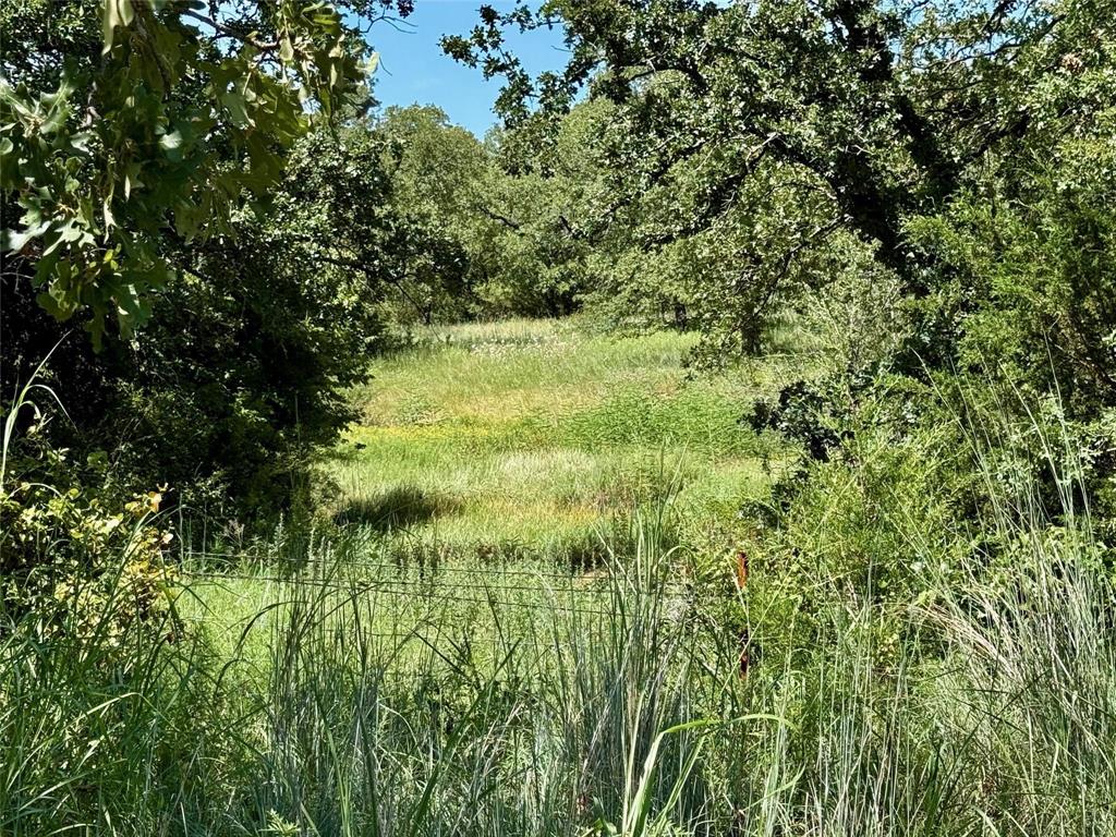 Nocona Hills - Land