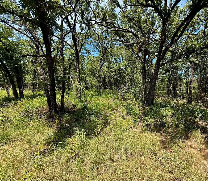 Nocona Hills - Land