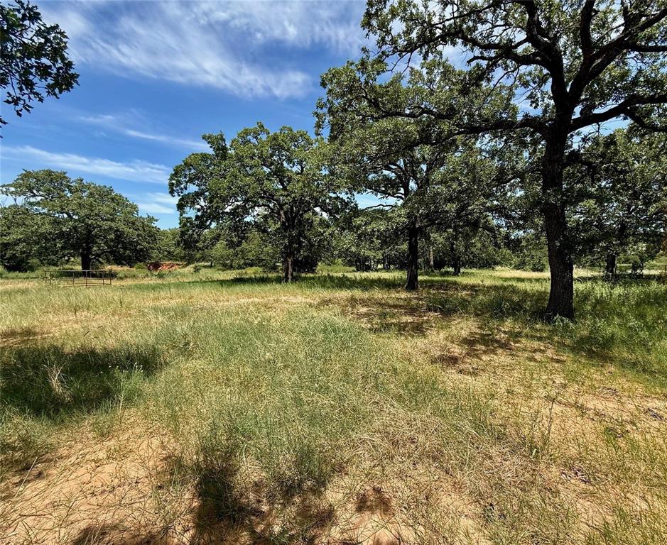 Nocona Hills - Land
