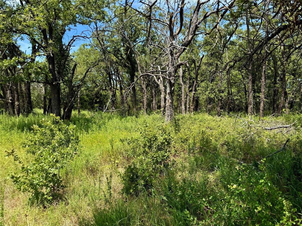 Nocona Hills - Land