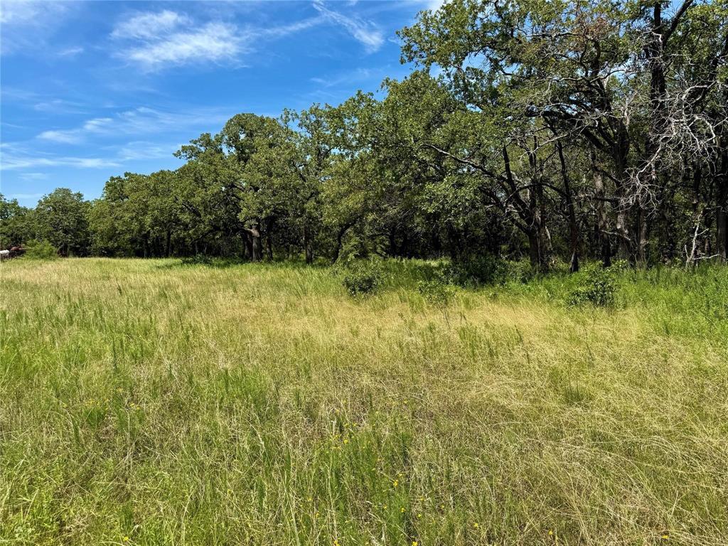 Nocona Hills - Land