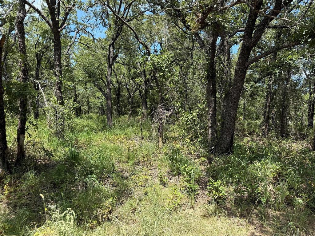 Nocona Hills - Land