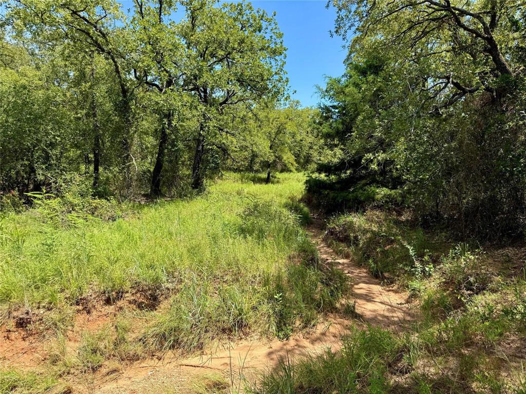 Nocona Hills - Land