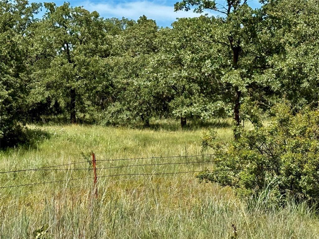 Nocona Hills - Land