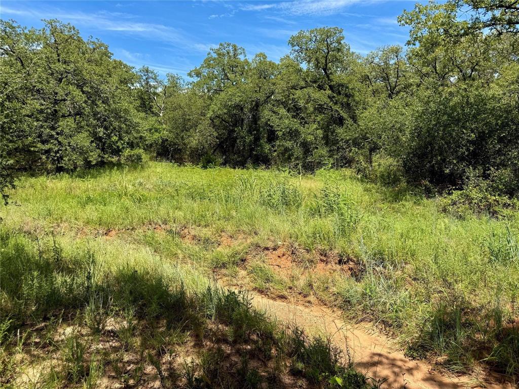 Nocona Hills - Land