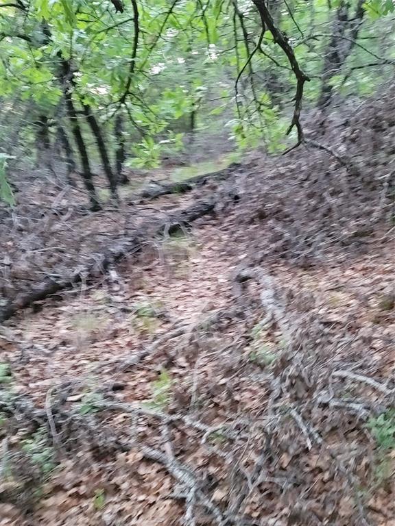 AJ Byars Survey ETRR Co Survey - Land