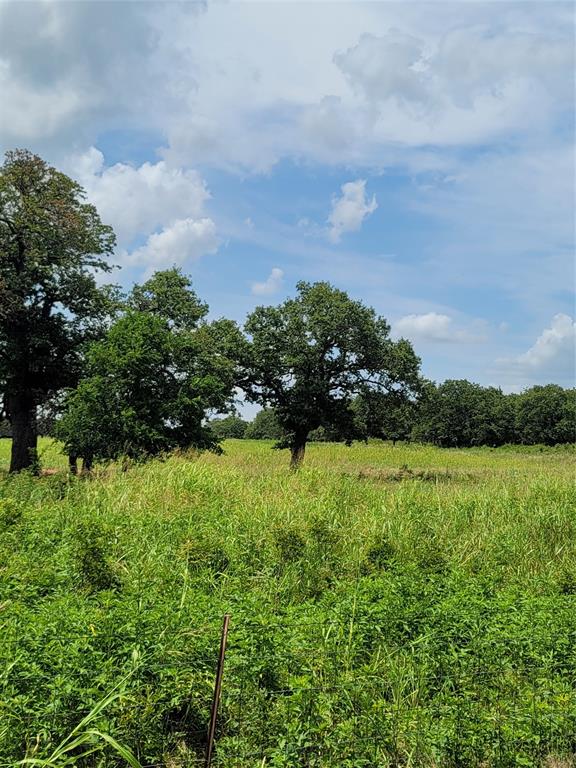 RARE FIND.......PRIVATE, SECLUDED, WILDLIFE,  AND CLOSE TO TOWN...The driveway will be off of 59 roughly 3000ft easement  opening up into 21 very wooded acres.  Beautiful building spots lots, private drive and still only minutes from town or the lake.  Make an appointment today

Owner will consider financing with credit approval call for details
All information herein considered reliable but not guaranteed. Buyer to verify all information on this MLS sheet, flyer or website including but not limited to schools, square footage, acres, taxes, easements and minerals.