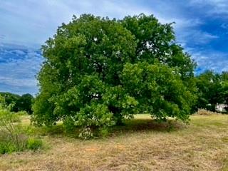 J & E Hernandez Addition - Land