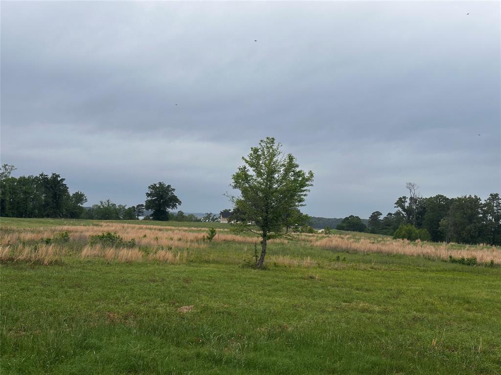 South Shore at Lake Bob Sandlin - Land